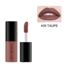 Load image into Gallery viewer, 1PC Waterproof Long-Lasting Matte Liquid Lipstick Easy To Carry 12 Colors Nude Lip Gloss 3.5g Velvet Red Lip Tint Makeup