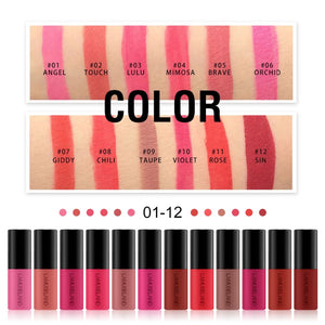 1PC Waterproof Long-Lasting Matte Liquid Lipstick Easy To Carry 12 Colors Nude Lip Gloss 3.5g Velvet Red Lip Tint Makeup