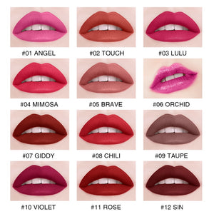 1PC Waterproof Long-Lasting Matte Liquid Lipstick Easy To Carry 12 Colors Nude Lip Gloss 3.5g Velvet Red Lip Tint Makeup