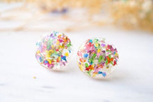 Load image into Gallery viewer, Real Pressed Flowers and Resin Circle Stud Earrings in Party Mix