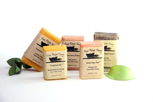 Pooch Shampoo - 1/2 Bar - 4 Pack