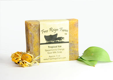 Tropical Ice - Orange & Spearmint Goat Milk Soap - 4 Pack